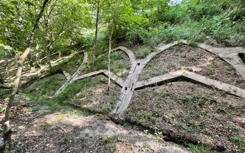 Le ravin du Grébier est restauré par l'association Racine de Bruyères et sa région